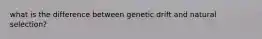 what is the difference between genetic drift and natural selection?