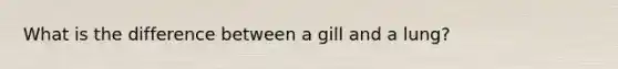 What is the difference between a gill and a lung?