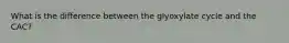 What is the difference between the glyoxylate cycle and the CAC?