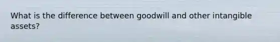 What is the difference between goodwill and other intangible assets?