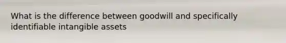 What is the difference between goodwill and specifically identifiable <a href='https://www.questionai.com/knowledge/kfaeAOzavC-intangible-assets' class='anchor-knowledge'>intangible assets</a>