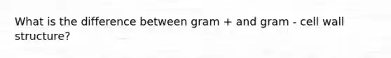 What is the difference between gram + and gram - cell wall structure?