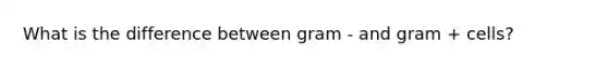 What is the difference between gram - and gram + cells?