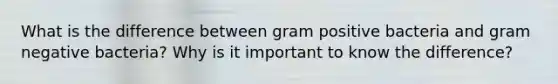 What is the difference between gram positive bacteria and gram negative bacteria? Why is it important to know the difference?