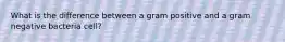 What is the difference between a gram positive and a gram negative bacteria cell?