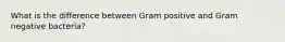 What is the difference between Gram positive and Gram negative bacteria?