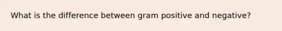 What is the difference between gram positive and negative?