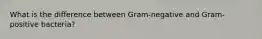 What is the difference between Gram-negative and Gram-positive bacteria?