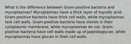 What is the difference between Gram-positive bacteria and mycoplasmas? Mycoplasmas have a thick layer of mycolic acid. Gram-positive bacteria have thick cell walls, while mycoplasmas lack cell walls. Gram-positive bacteria have sterols in their cytoplasmic membrane, while mycoplasmas do not. Gram-positive bacteria have cell walls made up of peptidoglycan, while mycoplasmas have glucan in their cell walls.