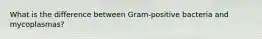 What is the difference between Gram-positive bacteria and mycoplasmas?