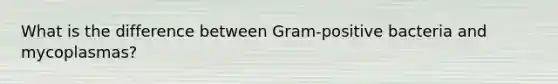 What is the difference between Gram-positive bacteria and mycoplasmas?