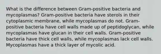 What is the difference between Gram-positive bacteria and mycoplasmas? Gram-positive bacteria have sterols in their cytoplasmic membrane, while mycoplasmas do not. Gram-positive bacteria have cell walls made up of peptidoglycan, while mycoplasmas have glucan in their cell walls. Gram-positive bacteria have thick cell walls, while mycoplasmas lack cell walls. Mycoplasmas have a thick layer of mycolic acid.