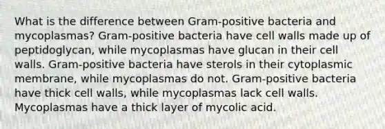 What is the difference between Gram-positive bacteria and mycoplasmas? Gram-positive bacteria have cell walls made up of peptidoglycan, while mycoplasmas have glucan in their cell walls. Gram-positive bacteria have sterols in their cytoplasmic membrane, while mycoplasmas do not. Gram-positive bacteria have thick cell walls, while mycoplasmas lack cell walls. Mycoplasmas have a thick layer of mycolic acid.