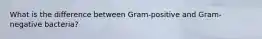 What is the difference between Gram-positive and Gram-negative bacteria?