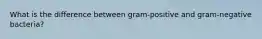 What is the difference between gram-positive and gram-negative bacteria?