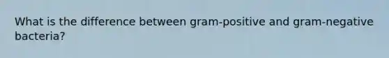 What is the difference between gram-positive and gram-negative bacteria?