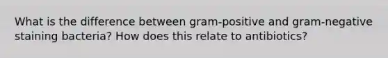 What is the difference between gram-positive and gram-negative staining bacteria? How does this relate to antibiotics?