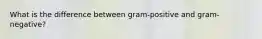 What is the difference between gram-positive and gram-negative?