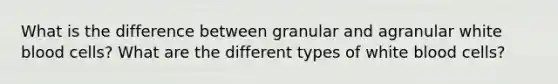 What is the difference between granular and agranular white blood cells? What are the different types of white blood cells?