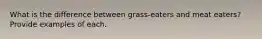 What is the difference between grass-eaters and meat eaters? Provide examples of each.