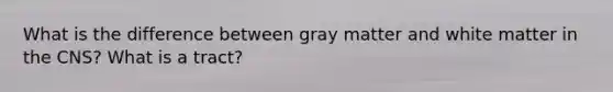 What is the difference between gray matter and white matter in the CNS? What is a tract?