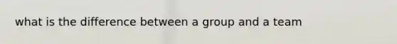 what is the difference between a group and a team