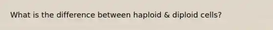 What is the difference between haploid & diploid cells?