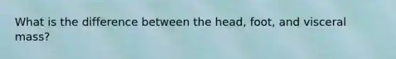 What is the difference between the head, foot, and visceral mass?