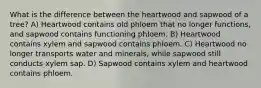 What is the difference between the heartwood and sapwood of a tree? A) Heartwood contains old phloem that no longer functions, and sapwood contains functioning phloem. B) Heartwood contains xylem and sapwood contains phloem. C) Heartwood no longer transports water and minerals, while sapwood still conducts xylem sap. D) Sapwood contains xylem and heartwood contains phloem.