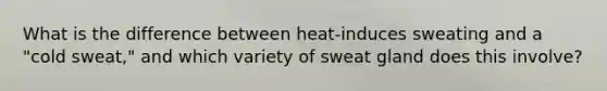 What is the difference between heat-induces sweating and a "cold sweat," and which variety of sweat gland does this involve?