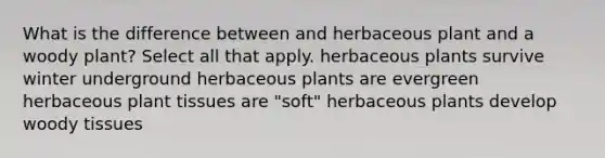 What is the difference between and herbaceous plant and a woody plant? Select all that apply. herbaceous plants survive winter underground herbaceous plants are evergreen herbaceous plant tissues are "soft" herbaceous plants develop woody tissues