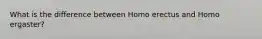 What is the difference between Homo erectus and Homo ergaster?