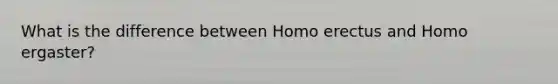 What is the difference between Homo erectus and Homo ergaster?