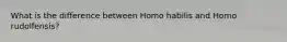 What is the difference between Homo habilis and Homo rudolfensis?