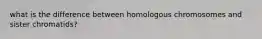 what is the difference between homologous chromosomes and sister chromatids?