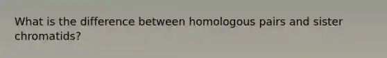 What is the difference between homologous pairs and sister chromatids?