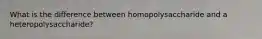 What is the difference between homopolysaccharide and a heteropolysaccharide?
