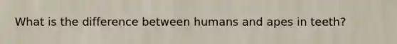 What is the difference between humans and apes in teeth?