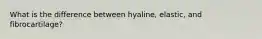 What is the difference between hyaline, elastic, and fibrocartilage?