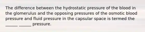 The difference between the hydrostatic pressure of <a href='https://www.questionai.com/knowledge/k7oXMfj7lk-the-blood' class='anchor-knowledge'>the blood</a> in the glomerulus and the opposing pressures of the osmotic <a href='https://www.questionai.com/knowledge/kD0HacyPBr-blood-pressure' class='anchor-knowledge'>blood pressure</a> and fluid pressure in the capsular space is termed the ______ ______ pressure.