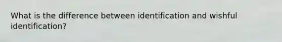 What is the difference between identification and wishful identification?