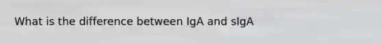 What is the difference between IgA and sIgA