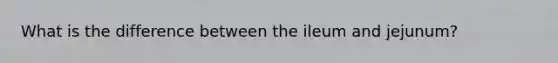 What is the difference between the ileum and jejunum?