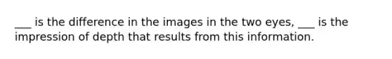 ___ is the difference in the images in the two eyes, ___ is the impression of depth that results from this information.