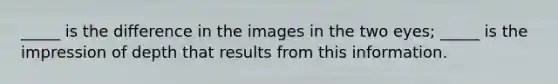 _____ is the difference in the images in the two eyes; _____ is the impression of depth that results from this information.