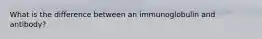 What is the difference between an immunoglobulin and antibody?