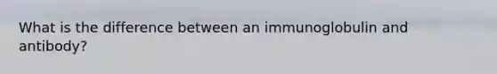 What is the difference between an immunoglobulin and antibody?