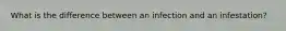What is the difference between an infection and an infestation?