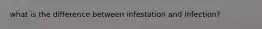 what is the difference between infestation and infection?