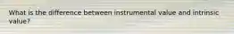 What is the difference between instrumental value and intrinsic value?
